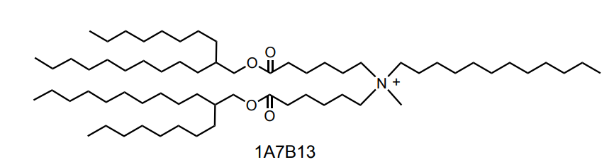 Lipid 1A7B13 chemical structure