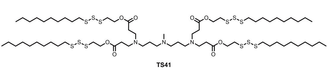 Lipid TS41 chemical structure