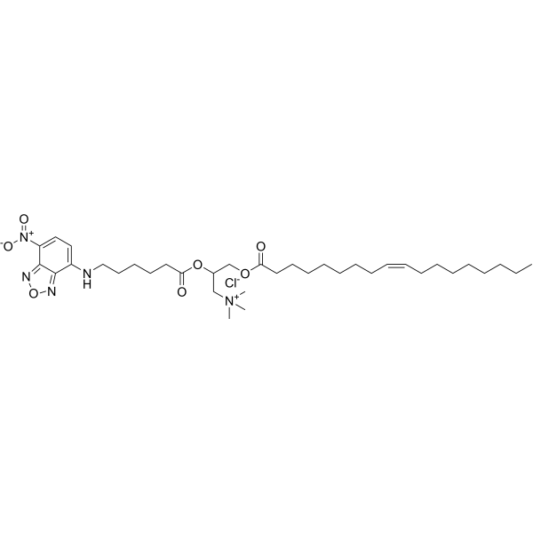 Fluorescent DOTAP chemical structure