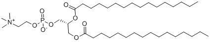 DPPC chemical structure
