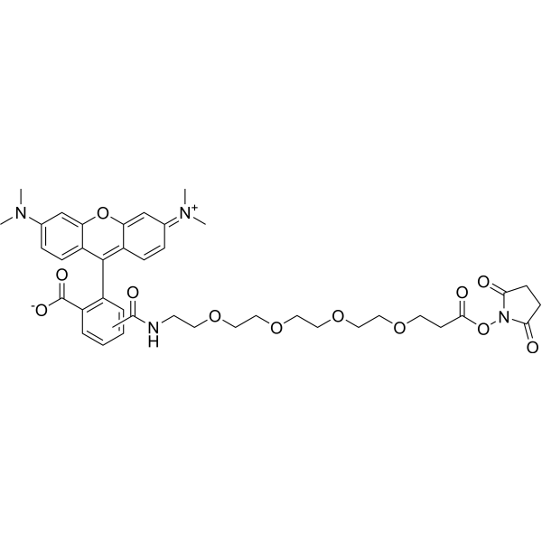 TAMRA-PEG4-NHS ester chemical structure