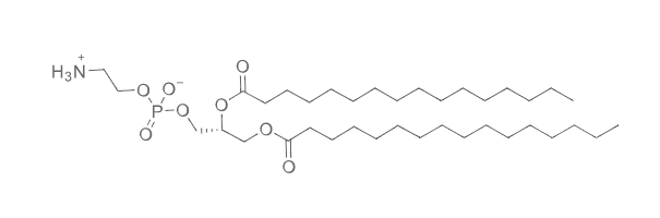 DPPE chemical structure