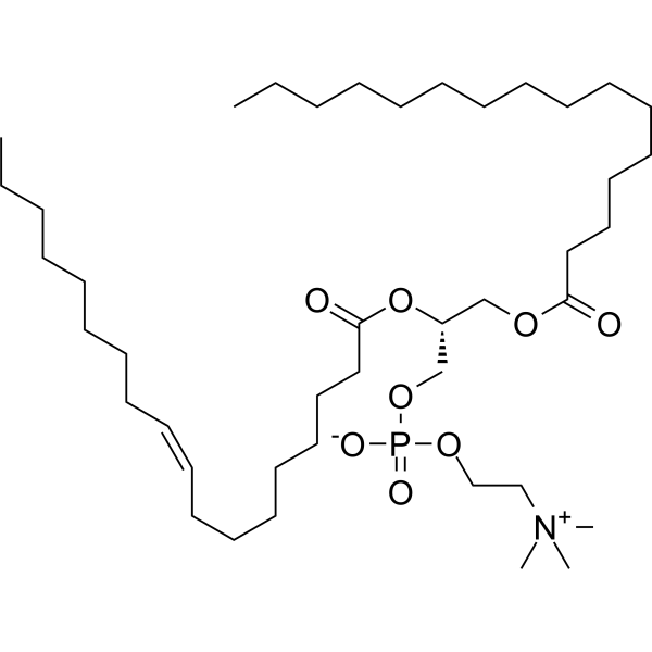POPC chemical structure
