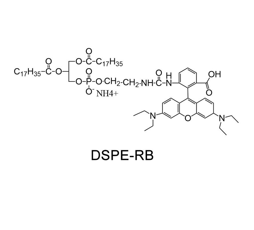 DSPE-RB chemical structure