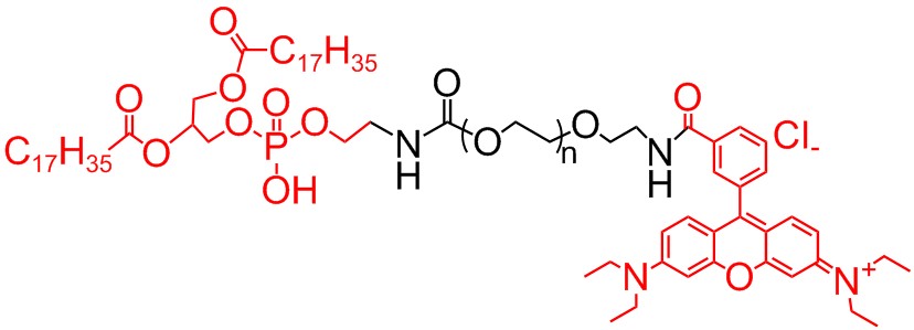 DSPE-PEG-Rhodamine chemical structure