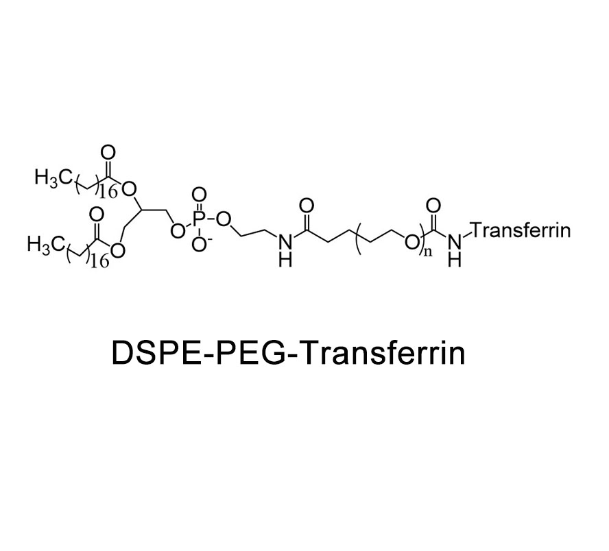 DSPE-PEG-Transferrin chemical structure