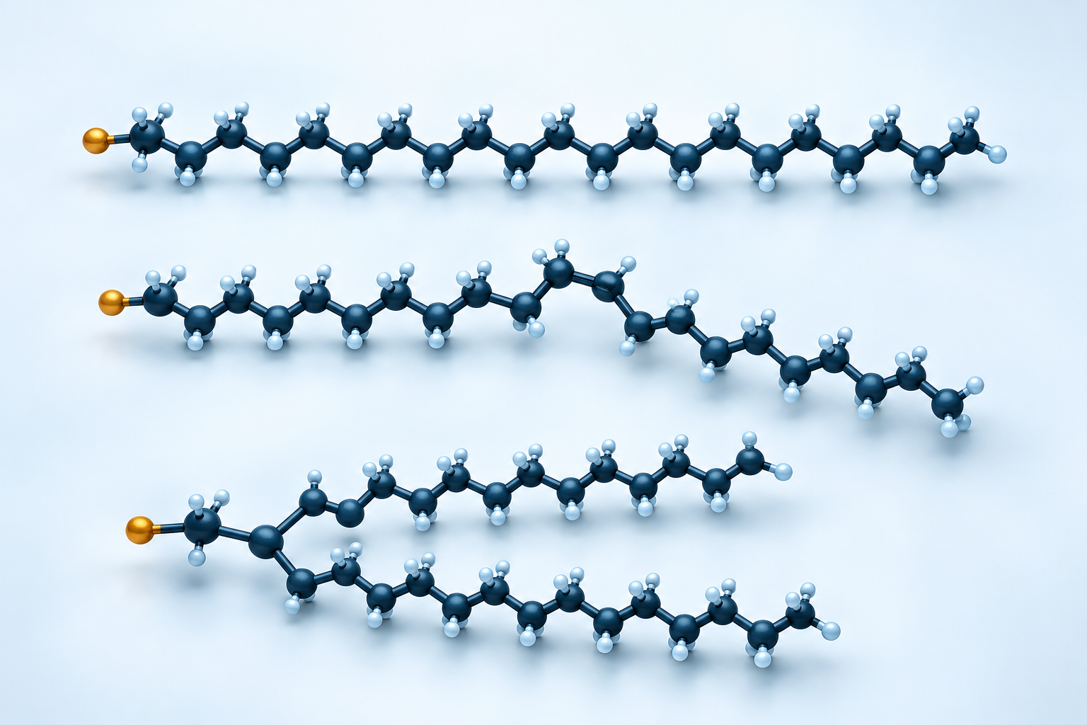 Hydrophobic lipid tails: linear, kinked and branched chains