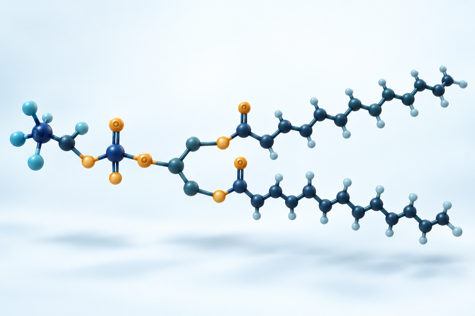 Lipid synthesis building blocks