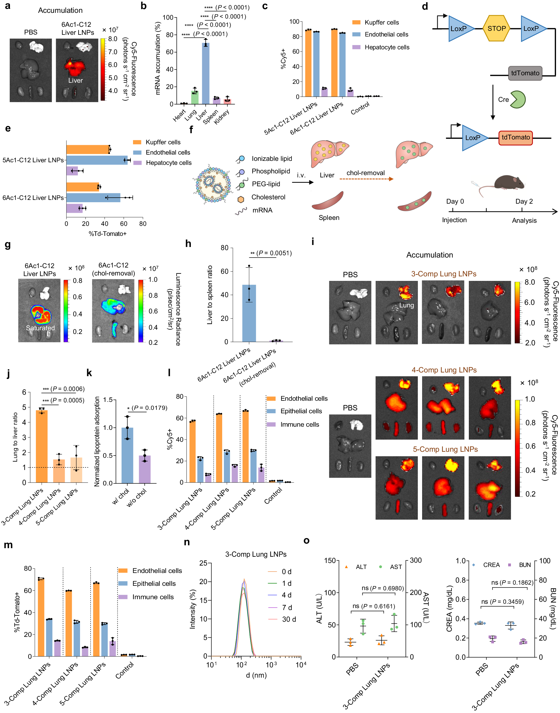 Organ accumulation, cell-type expression and acute tolerability — Figure 5