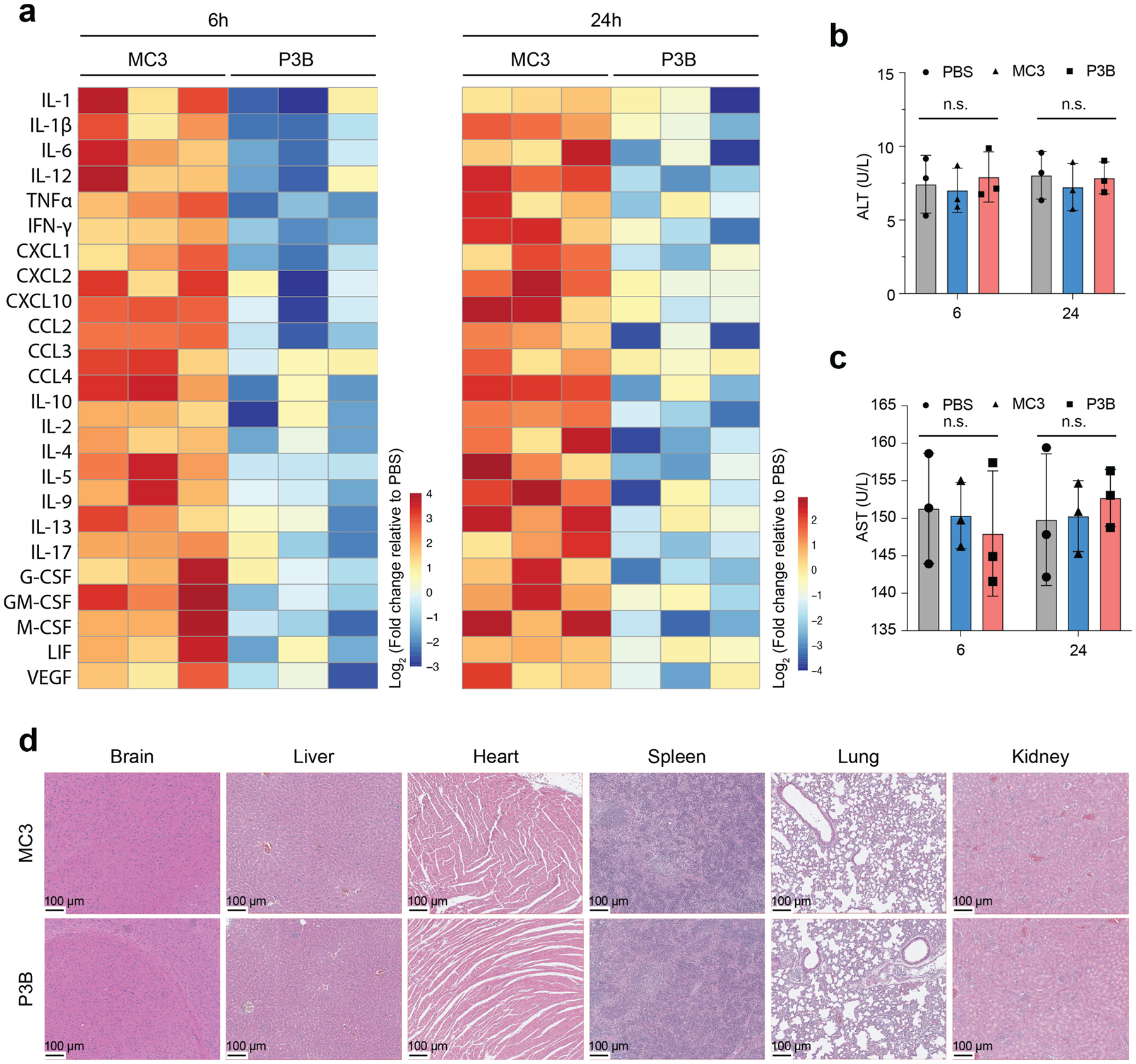 P3B literature Figure 5: Inflammatory markers, plasma liver enzymes and short-term organ histology.