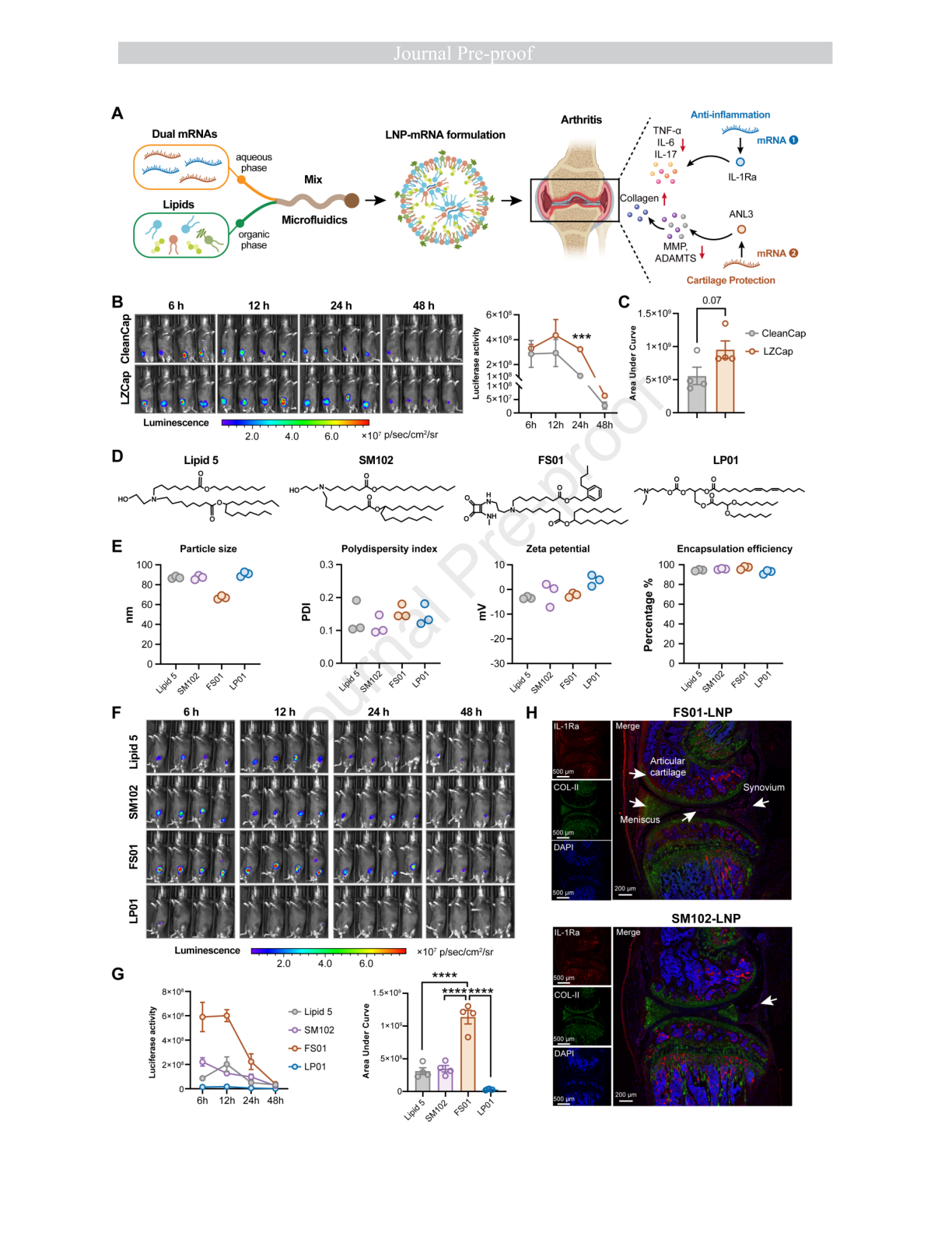 Wang et al. 2026 Figure 1: Lipid screening, local luciferase expression and joint tissue delivery.