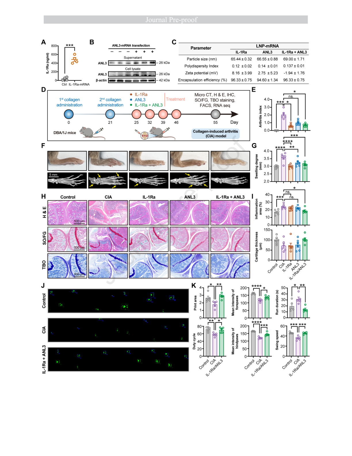 Wang et al. 2026 Figure 2: mRNA expression, formulation properties, CIA pathology and gait measurements.