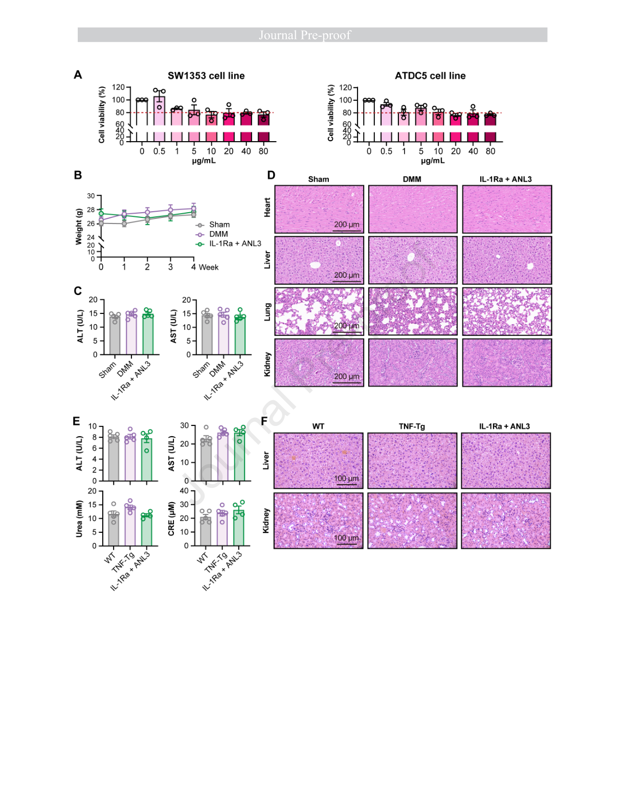 Wang et al. 2026 Figure 7: Cell viability and preliminary animal tolerability assessments.