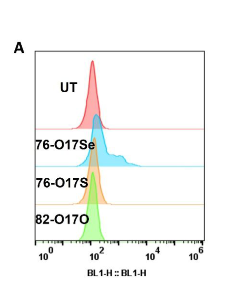 Figure S5A: flow-cytometry fluorescence histograms labeled untreated, 76-O17Se, 76-O17S and 82-O17O