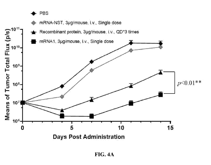 WO2024131874A1 Figure 4A antitumor study