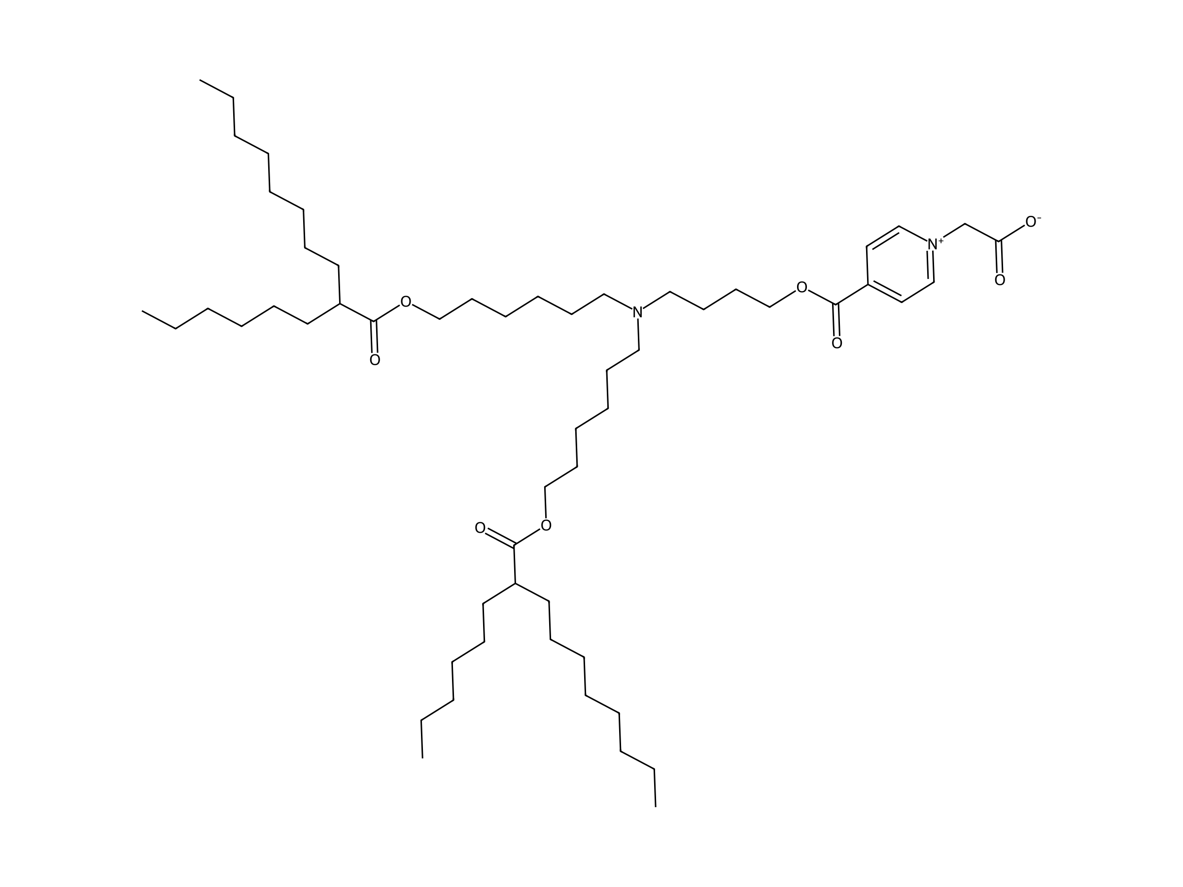 PyCB lipid chemical structure
